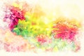 Abstract pink shape colorful flower blooming watercolor illustration painting Royalty Free Stock Photo