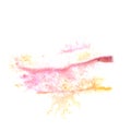 Abstract pink,yellow watercolor background for your design insu