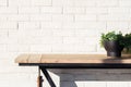 Abstract Plant and Table on Brick Wall