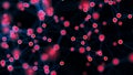 Abstract plexus structure of many glowing lines and particles. Network connection structure. Creative technological background. Royalty Free Stock Photo