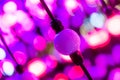 Abstract points of light, fantasy abstract technology background, Light colored balls in a space lit differently, selective