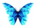 Abstract polygonal butterfly low poly vector