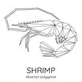 Abstract Polygonal geometric shrimp.