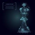 Abstract polygonal low poly mash line and point king of chess. Vector business illustration.