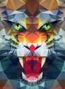 Abstract polygonal tiger Royalty Free Stock Photo