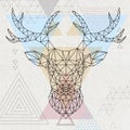 Abstract polygonal tirangle animal deer. Hipster animal illustration