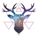 Abstract polygonal tirangle animal deer with open space background. Hipster animal illustration