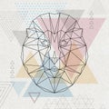 Abstract polygonal tirangle animal lion. Hipster animal