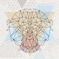 Abstract polygonal tirangle animal monkey. Hipster animal illustration