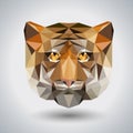 Abstract polygonal tirangle animal tiger. Hipster animal