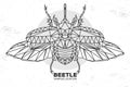 Abstract polygonal triangle rhinoceros beetle. Artistic Bug. Entomological  illustration Royalty Free Stock Photo