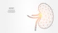 Abstract polygonal vector illustration of human kidneys on a light background