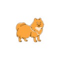 Abstract Pomeranian dog drawing. Continuous one line art of canine pet