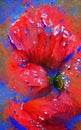 Abstract poppy flowerand water drop paintings in acryl style Royalty Free Stock Photo