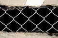 Abstract porous wall see chain link fence Royalty Free Stock Photo