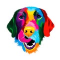 Abstract portrait of the head of a Labrador retriever from multicolored paints. Dog muzzle