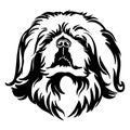 Abstract portrait of a Pekingese dog black contour illustration