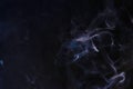 Abstract puffs of smoke on the left side of the frame on a dark background with a place for text, mysticism, fantasy