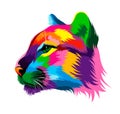 Abstract puma, cougar head portrait from multicolored paints. Colored drawing