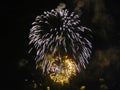 Firework salute Royalty Free Stock Photo