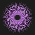 Abstract purple burst. Radial dynamic pattern. Geometric star shape. Vector dark background. Royalty Free Stock Photo