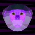 Abstract purple colored polygonal geometric red-shanked douc langur portrait for use in design