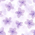 Abstract Purple Floral Pattern with Translucent Petals on White Background. Royalty Free Stock Photo