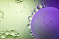 Abstract purple and green color background Royalty Free Stock Photo