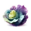 Abstract Purple Lettuce Flower In Colorful Realism Style