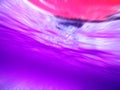 Abstract purple and magenta underwater liquid dynamic composition