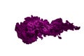 Abstract purple paint splash splash cloud isolated on white background Royalty Free Stock Photo