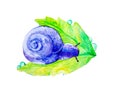 Abstract purple snail on a large green leaf. Watercolor illustration isolated on white background Royalty Free Stock Photo