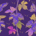 Abstract purple vine liana leaves hops Royalty Free Stock Photo