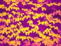 Abstract purple and yellow  texture background pattern Royalty Free Stock Photo