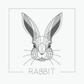 Abstract rabbit bunny head emblem icon design with elegant line shapes style