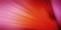 Abstract radial background of colored rays Royalty Free Stock Photo