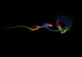 Abstract rainbow wavy smoke flame isolated over black background. Royalty Free Stock Photo
