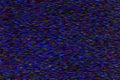 Abstract random colored noise dots blurred by motion on black background