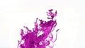 Abstract raspberry paint Royalty Free Stock Photo