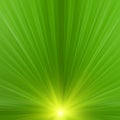 Abstract rays Royalty Free Stock Photo