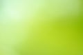 Abstract real blur green nature background Royalty Free Stock Photo