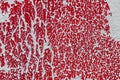 Abstract red background with splashes of white paint Royalty Free Stock Photo