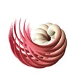 Abstract red and beige 3D swirl element isolated