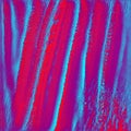 Abstract red and blue organic texture in vivid colors. Royalty Free Stock Photo