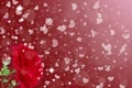 Abstract red blurred background with roses and bright hearts sparkling bokeh