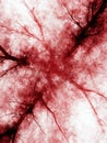 abstract red branching pattern Royalty Free Stock Photo