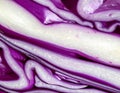 Abstract red cabbage texture, macro vegetable pattern. Generated using AI. Royalty Free Stock Photo