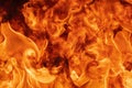 Abstract red fire natural texture with blaze. Beautiful dangerous firestorm abstract background Royalty Free Stock Photo