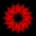 Abstract red flower on black background Royalty Free Stock Photo