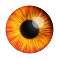 Abstract Red Human Eyeballs Iris Pupil. 3d Rendering